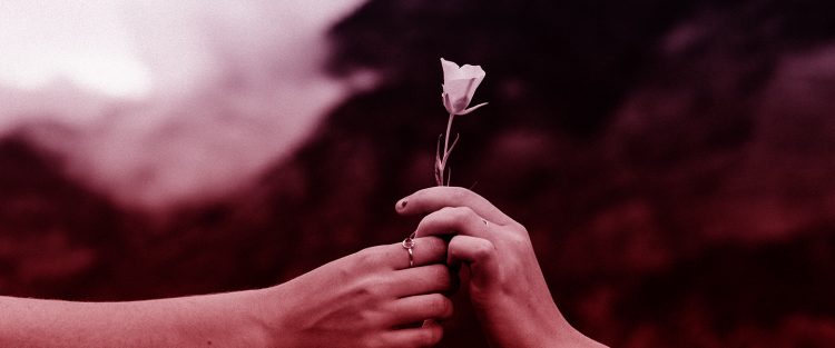 giving-tuesday-flower-donate